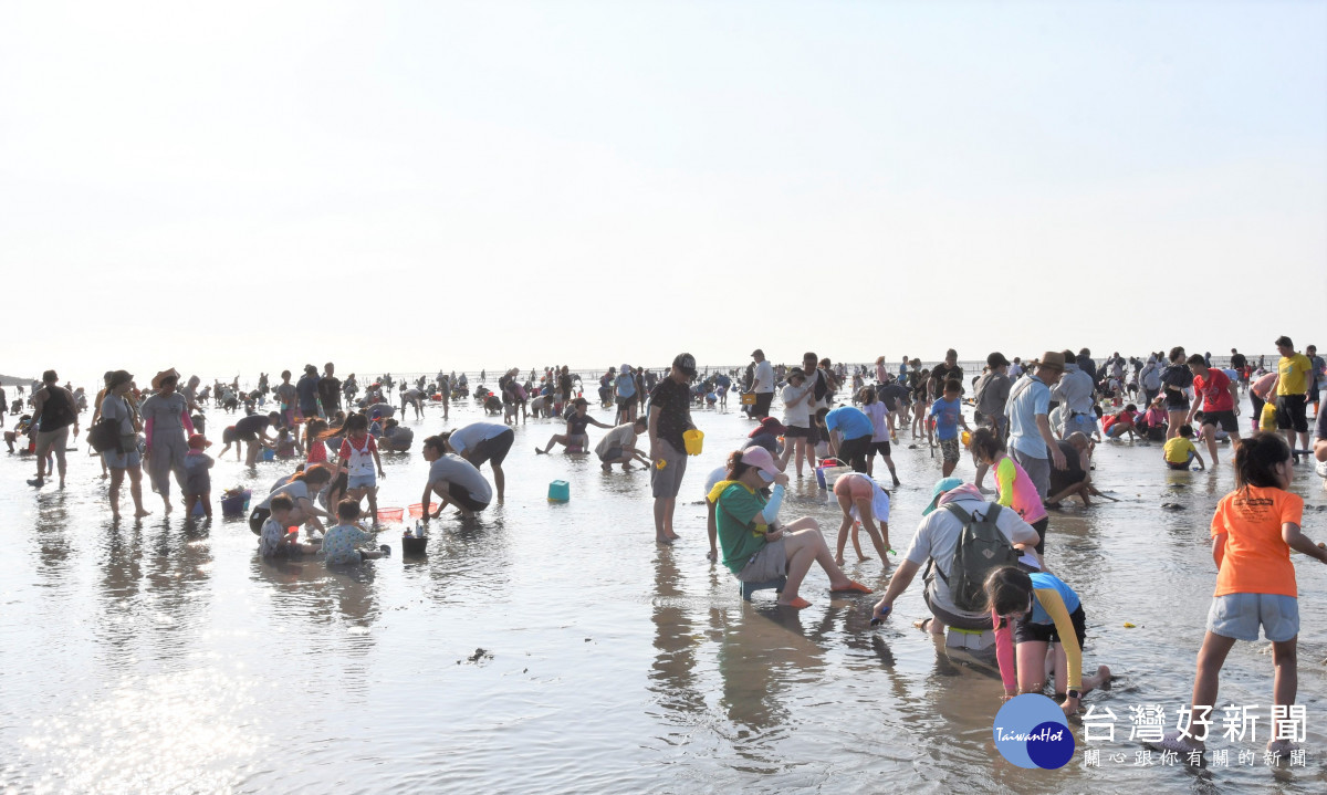 線西一畝海的小旅行,民眾體驗挖蛤蠣的樂趣。圖/記者鄧富珍翻攝