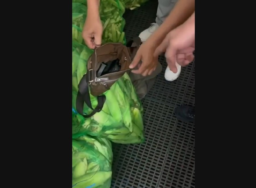 6旬夫開槍恐嚇妻誤傷手掌 南下藏友人家3天後北上落網 230 cnews204230929a01