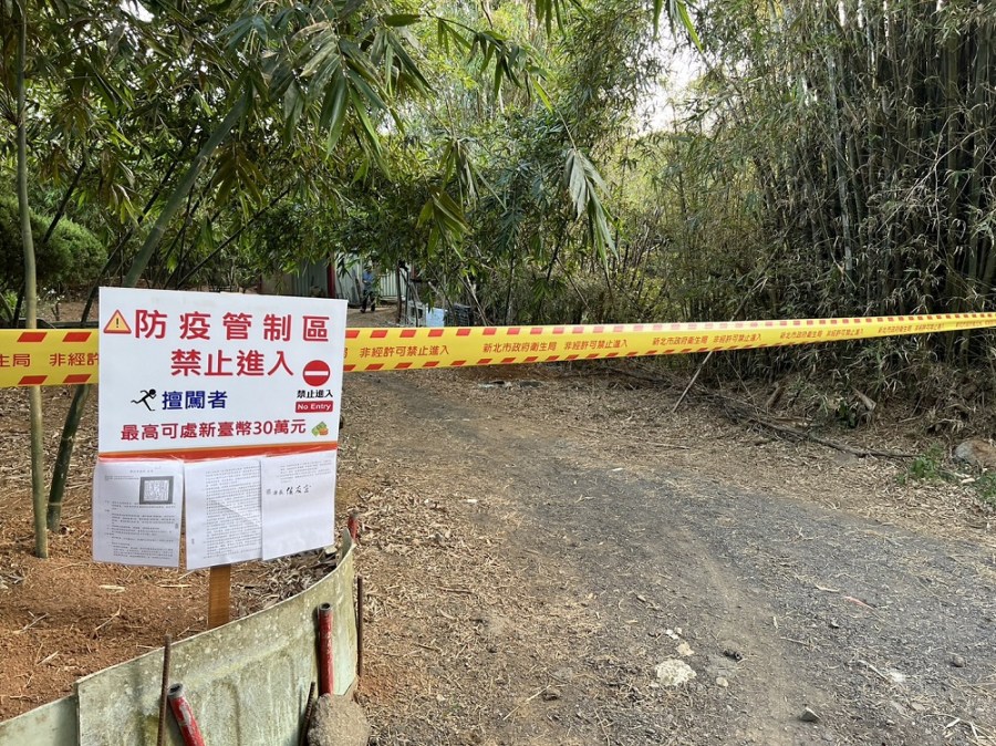新增5例本土登革熱 新北市八里長道坑及五股德音區域筍園禁入 227 cnews204230929a04
