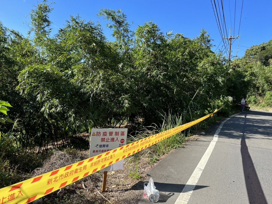 新增5例本土登革熱 新北市八里長道坑及五股德音區域筍園禁入 228 cnews204230929a05