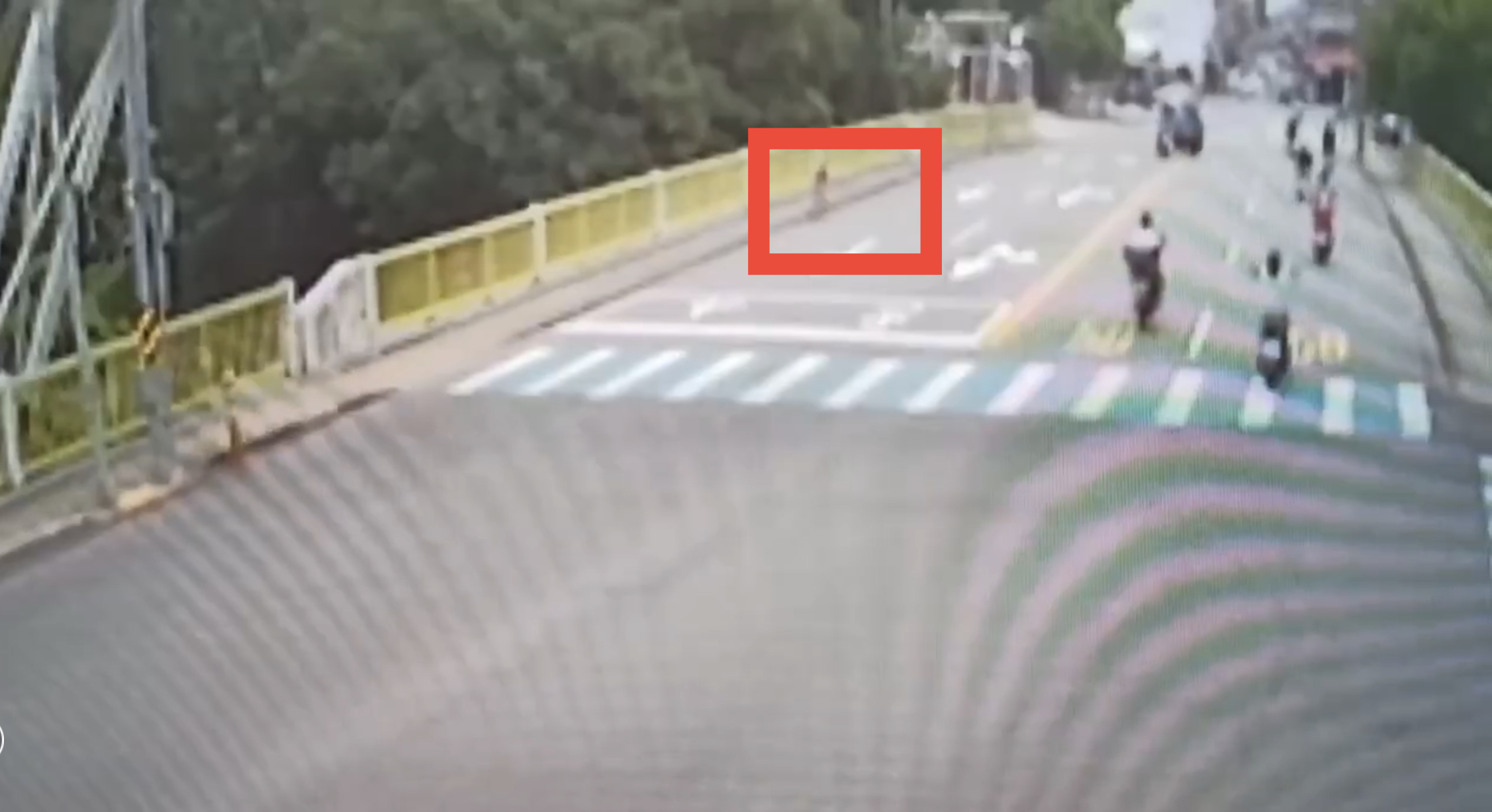 5歲女童早上騎著四輪腳踏車危險闖大街。（圖/記者江雁武翻攝）