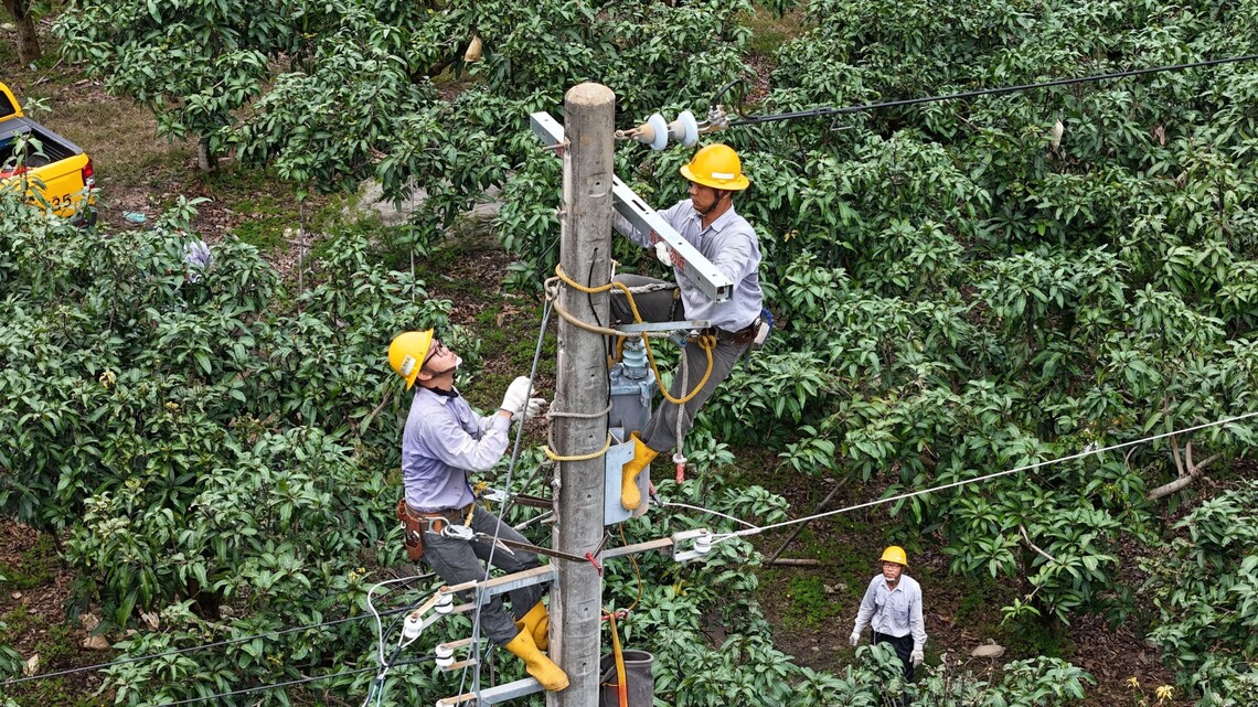 漾新聞|台電高雄聯手鳳山區處強化配電系統升級 高雄前8個月停電減少近25%