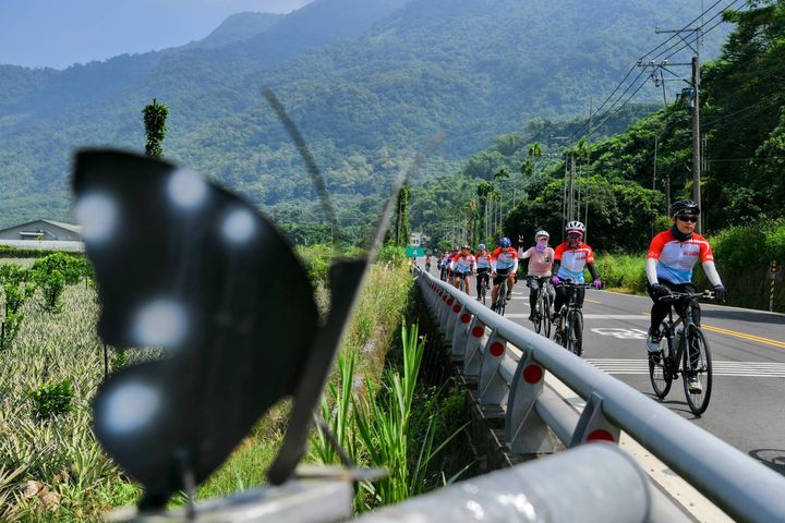 「騎遊茂林」10月開騎!7條自行車路打卡集章參加抽獎