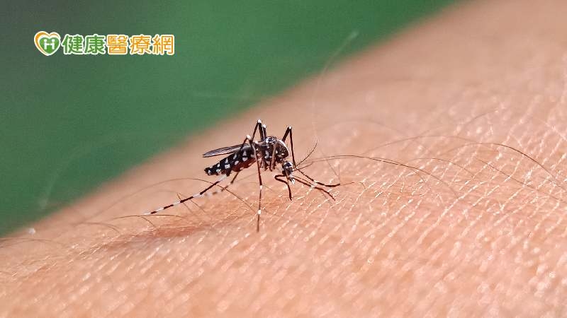 登革熱5例死亡都在台南 小犬颱風來襲、國慶連假如何防止疫情傳播?