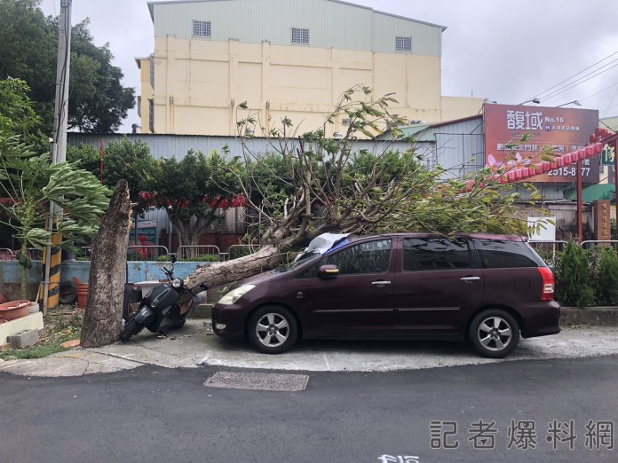 大樹被風吹斷 祖孫休旅車及機車受災 70 S 145522727 0 | 生活 生活 記者爆料網