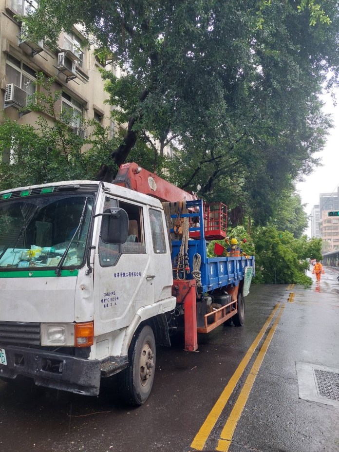 小犬颱風將撲台!北市松山路樹轟然倒塌幸無傷亡 59 img 1279 1 | 社會 社會 記者爆料網