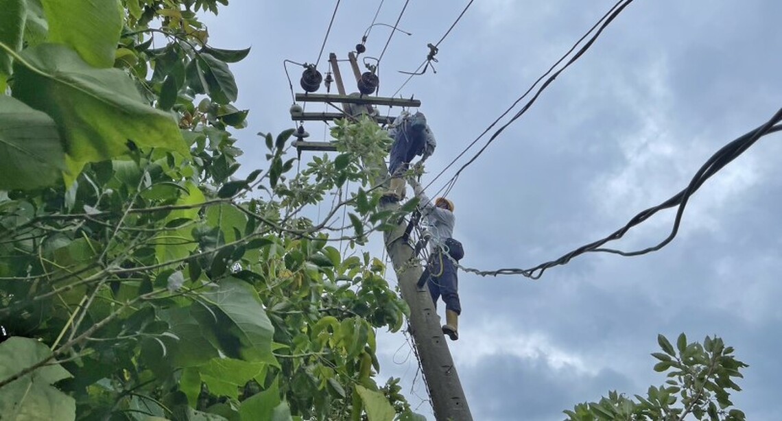 小犬颱風來襲 台電高雄、鳳山區處力拚今日全數復電