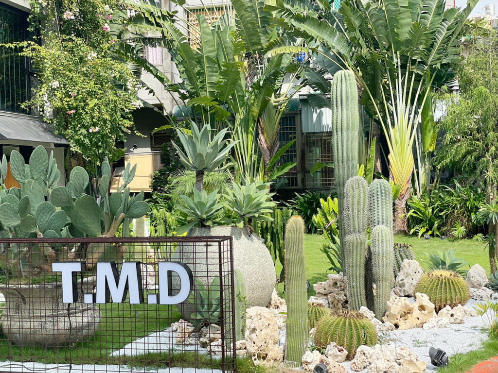 特約店家TMD早午餐，仙人掌造景相機拍不完