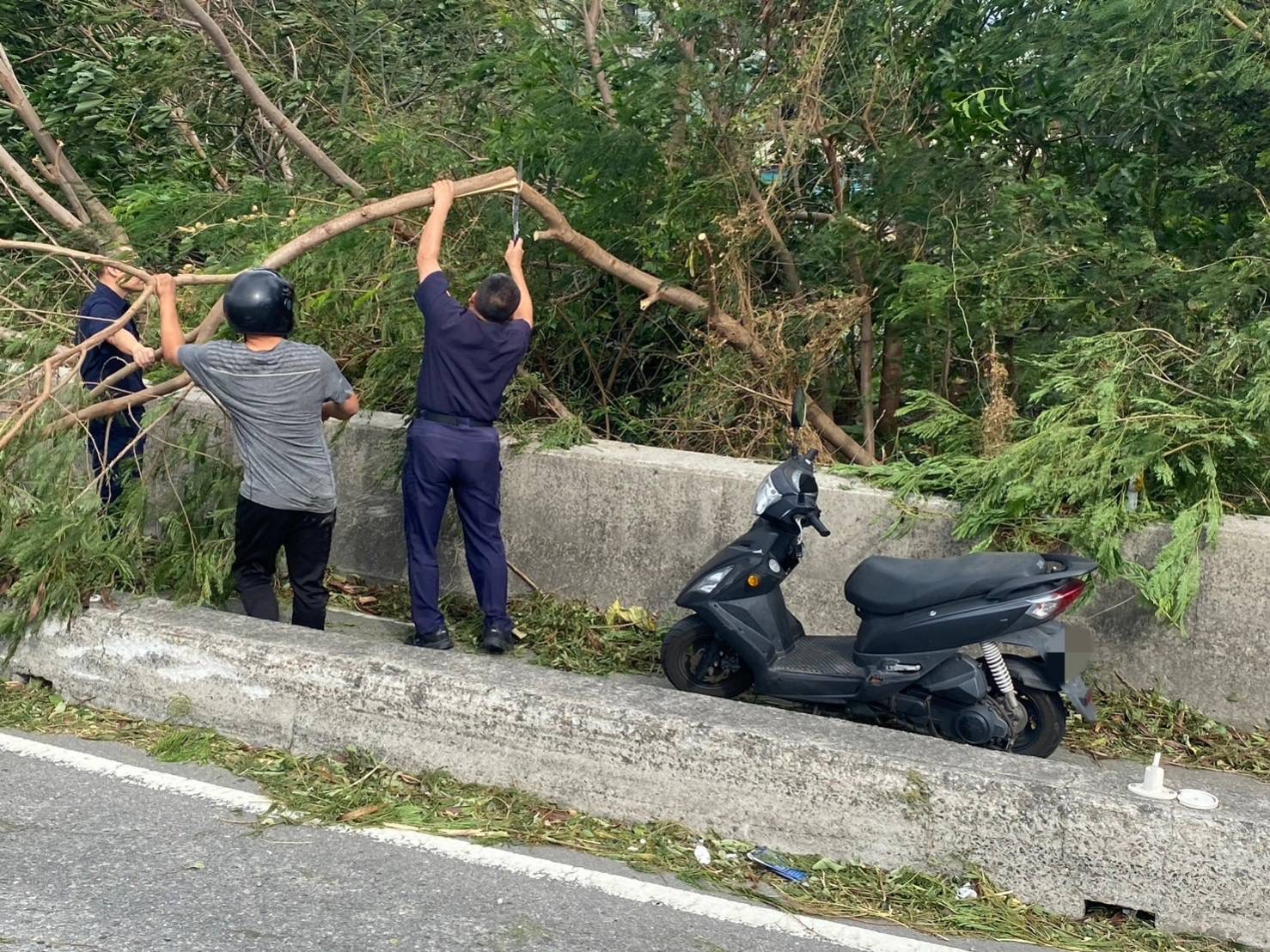 三和派出所楊儒陸所長發現路樹已完全封鎖了機車道，幸運的是，他攜帶了鋸子，親自將路樹鋸成數段，然後將樹段分批移至路邊的安全地點。（圖/記者江雁武翻攝）