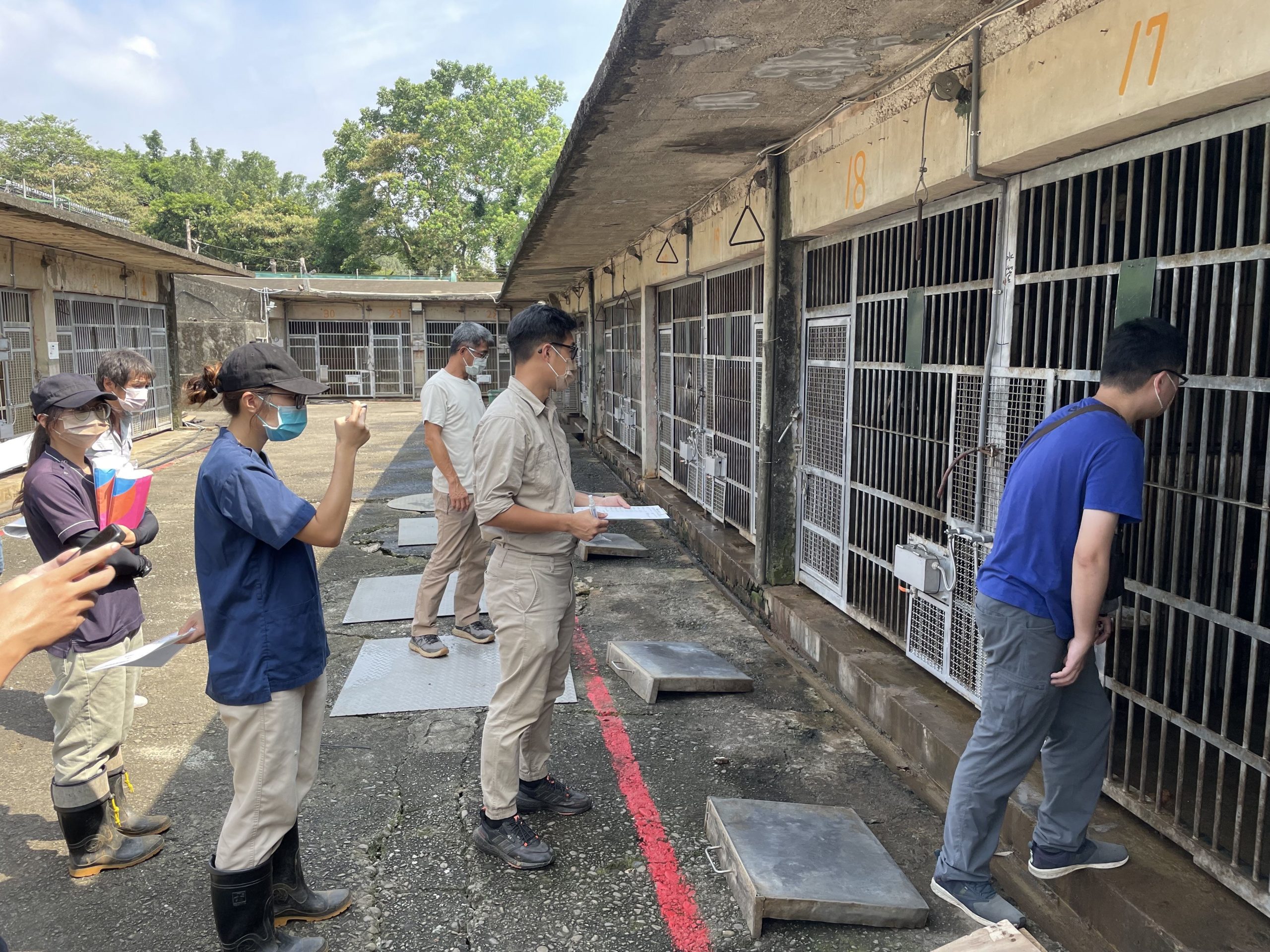 狒狒事件竹縣府持續監督六福村 完成設施改善植晶片