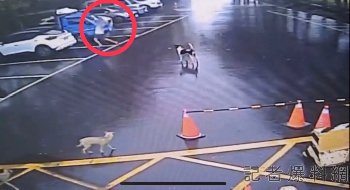 (砸車片)莽男與前妻爭吵! 竟隨機搬石頭砸前妻車洩憤 76 0A174C9F 5F5D 43BA 9A47 81A594CB5489 | 社會 社會 記者爆料網