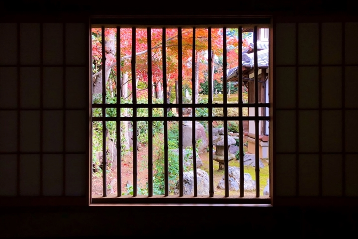 平常看不到!京都紅葉秘境11/3起期間限定對外開放