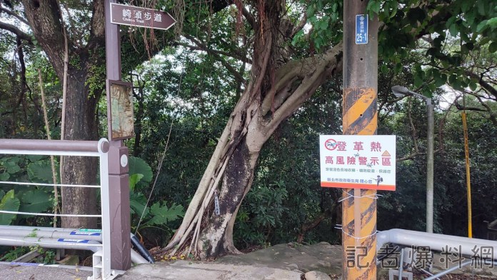 新北市新增5例本土登革熱病例 其中3例皆有台南旅遊史 66 4處 3 | 生活 生活 記者爆料網