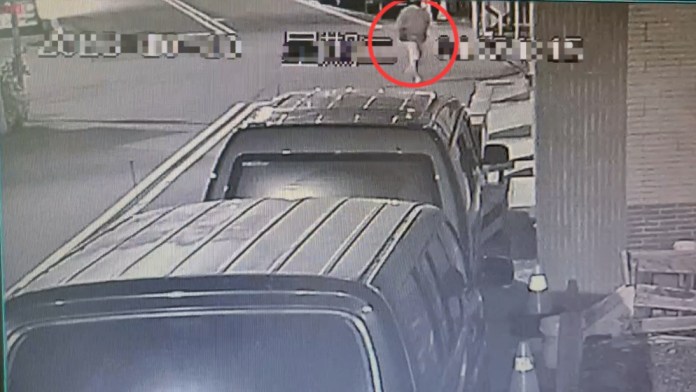 | 社會 社會 記者爆料網