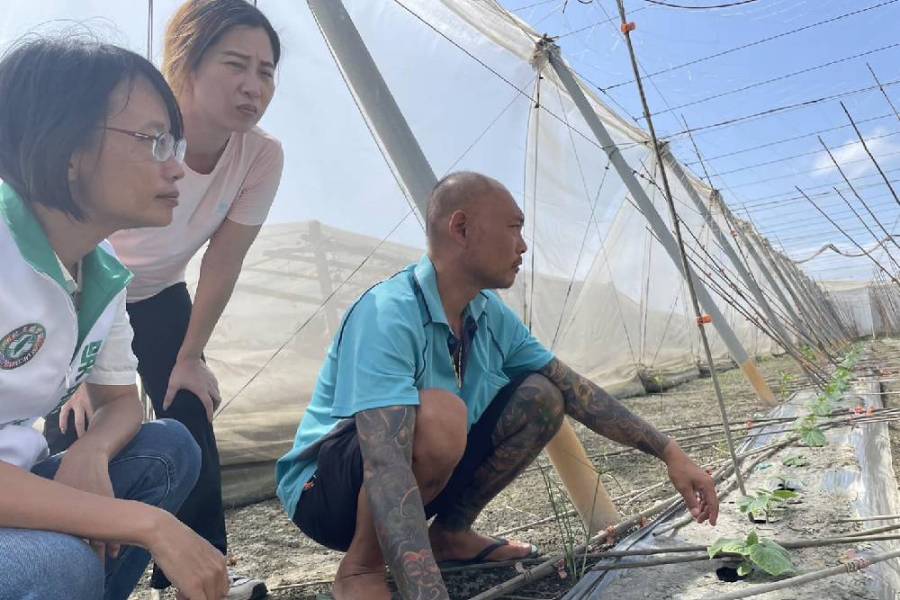 小犬肆虐 彰化農損破億 吳音寧籲農業部會勘追加項目 220 小犬肆虐 彰化農損破億 吳音寧籲農業部會勘追加項目 219