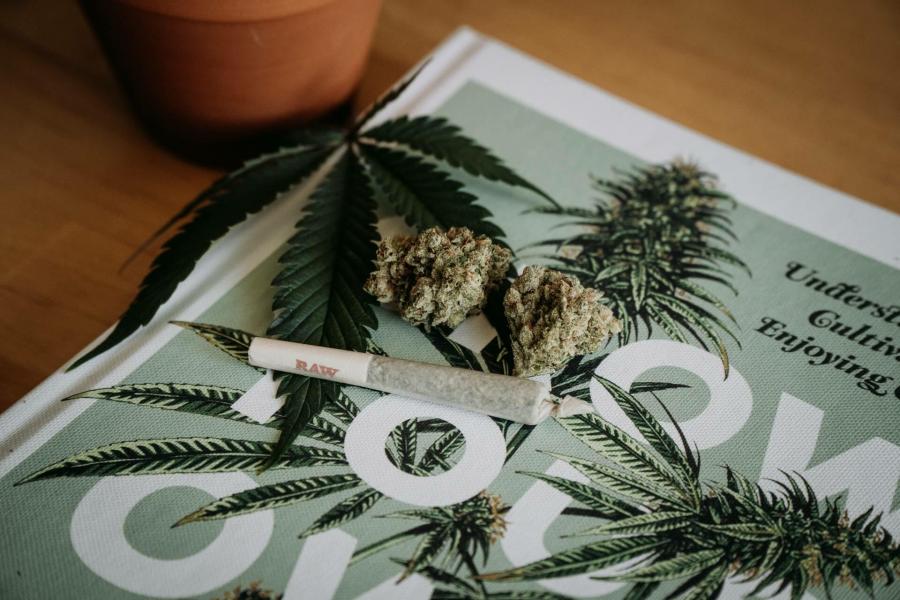 【臺灣調查網】全球民調/巴西 雖反對娛樂用大麻合法化 巴西人仍願為醫藥需求開綠燈 244 New Project - 2023-10-12T145118.601