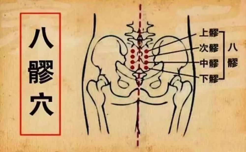 《圖說》穴位長的像螃蟹的八髎穴按出慾望,摘自百度網。