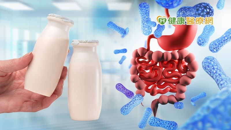 益生菌不等於乳酸菌 益生菌的15個重要觀念