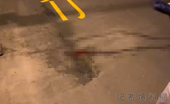 路上怎有一灘血?! 原來是眼鏡蛇被輾 58 1 30 | 社會 社會 記者爆料網