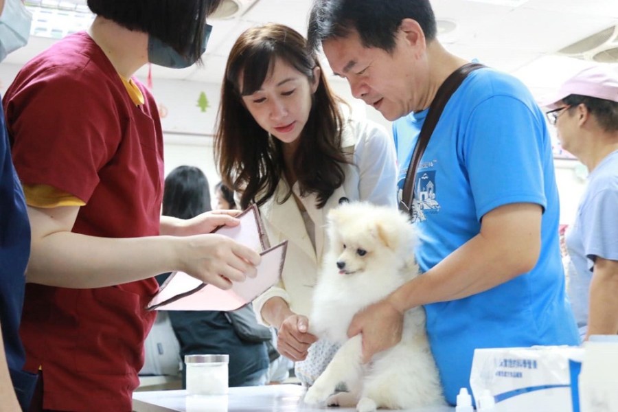 比熊遭杜賓咬成重傷 許淑華痛批:動保處消極又導致第2隻狗被攻擊 234 比熊遭杜賓咬成重傷 許淑華痛批:動保處消極又導致第2隻狗被攻擊 233