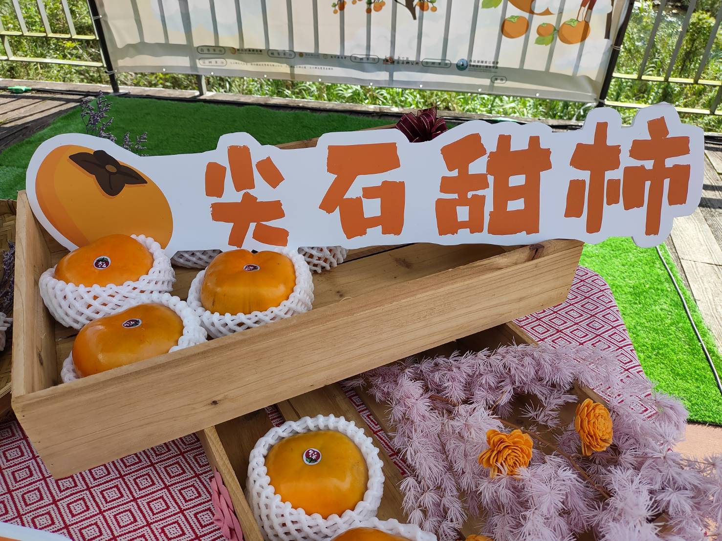柿季泡好湯 竹縣尖石好柿多甜柿促銷活動