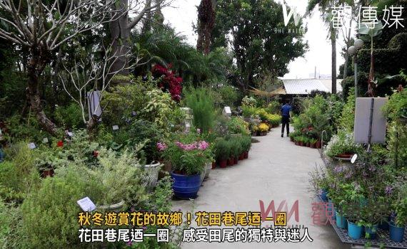 影／秋冬遊賞花的故鄉！花田巷尾迺一圈　走進田尾綠植新生活
