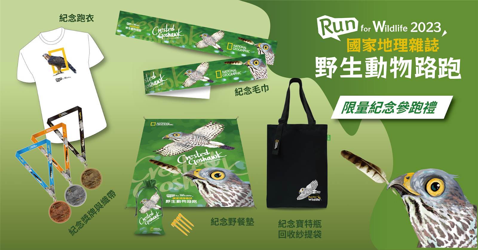 一張含有 文字, 鳥類, 卡通, 平面設計 的圖片 自動產生的描述