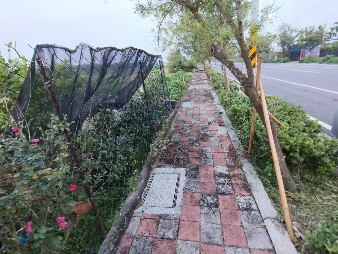 屏東市瑞光南路南端路樹該扶正了！