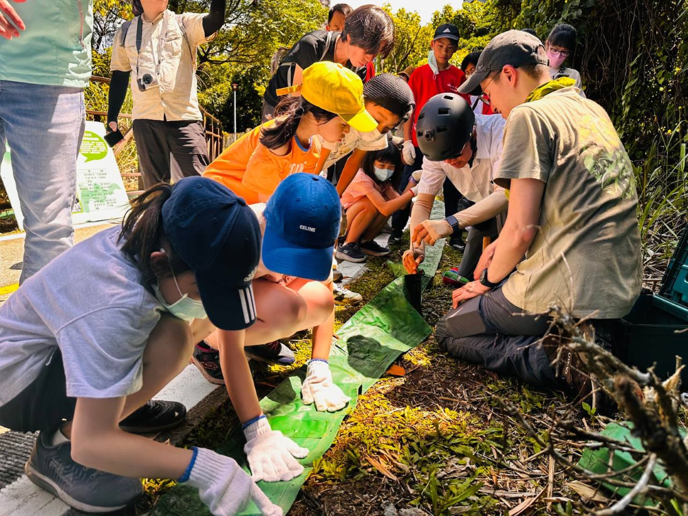 《圖說》今年5月荒野保護協會與竹圍國小友善陸蟹生態廊道守護行動。〈高灘處提供〉