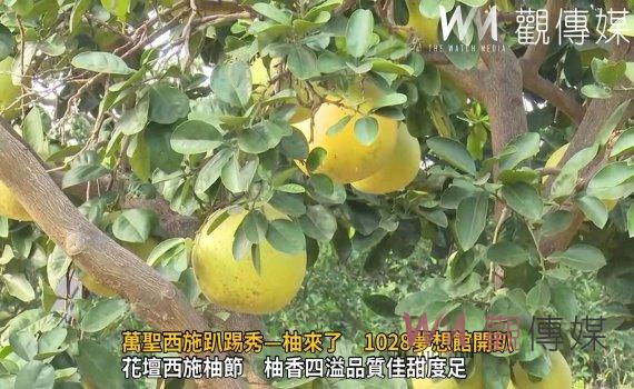 影/西施「柚」來了!萬聖西施趴踢秀—柚來了 1028夢想館開趴