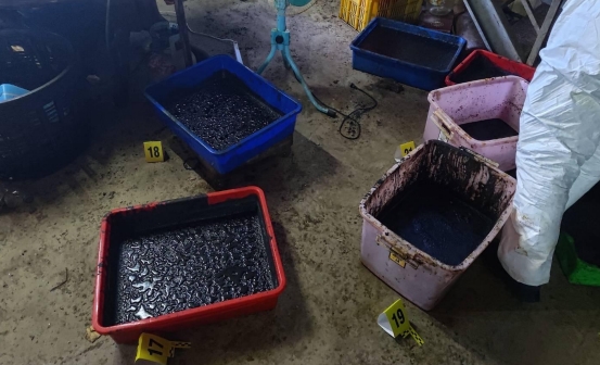 (緝毒片)台中查獲製毒工廠! 估毒害25萬人不法獲利1億2千5百萬 56 | 社會 社會 記者爆料網