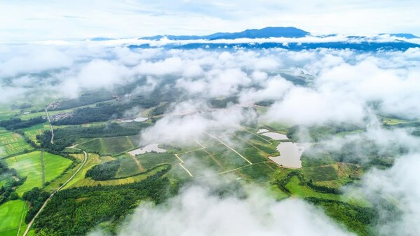 Aerial photo shows ten thousand mu of ecological kiwifruit base of Chian Town in Fengxin County. (Photo by Deng Jiangang) Aerial photo shows ten thousand mu of ecological kiwifruit base of Chian Town in Fengxin County. (Photo by Deng Jiangang)