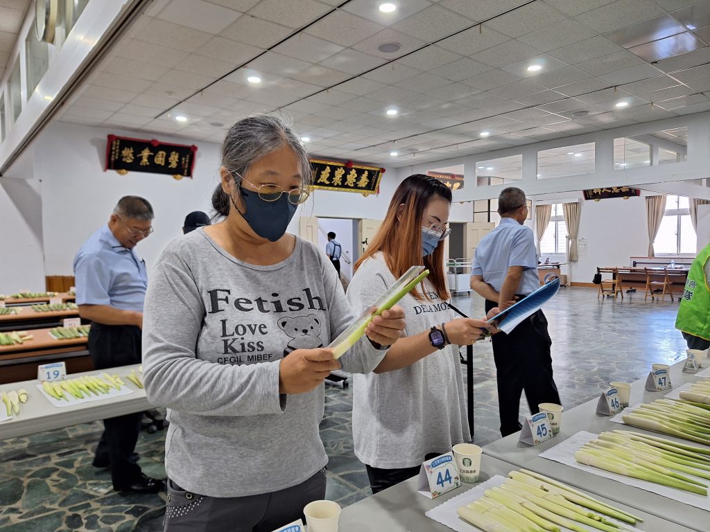 專業評審針仔細評選參賽的茭白筍。(圖/新北市政府提供)