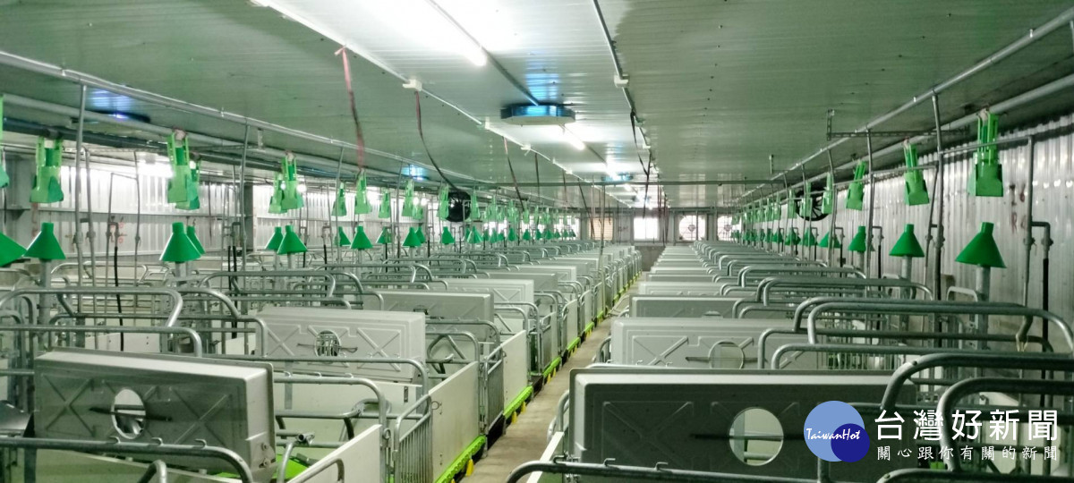 二林立富畜牧場科技化養豬，證明養豬不是污染產業。圖／記者鄧富珍攝