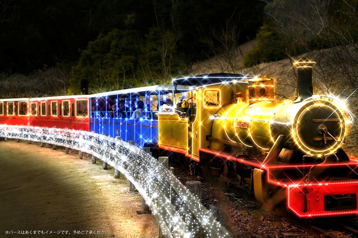 日本靜岡秋冬浪漫之夜 修善寺虹之鄉點燈10/20開跑