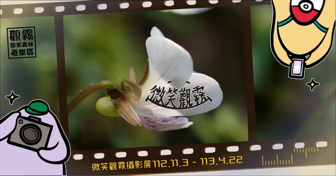 微笑觀霧攝影展 11/3起展出 邀民眾共賞觀霧森林的笑顏