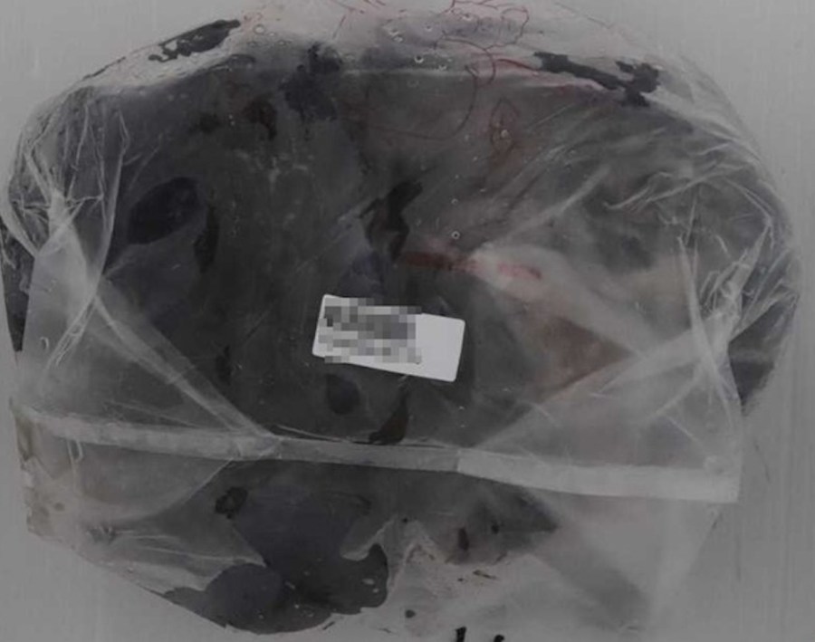 新北、澎湖驚現抗生素「白蝦仁、烏骨雞」流市面! 食藥署查源頭在台南 324 新北、澎湖驚現抗生素「白蝦仁、烏骨雞」流市面! 食藥署查源頭在台南 323