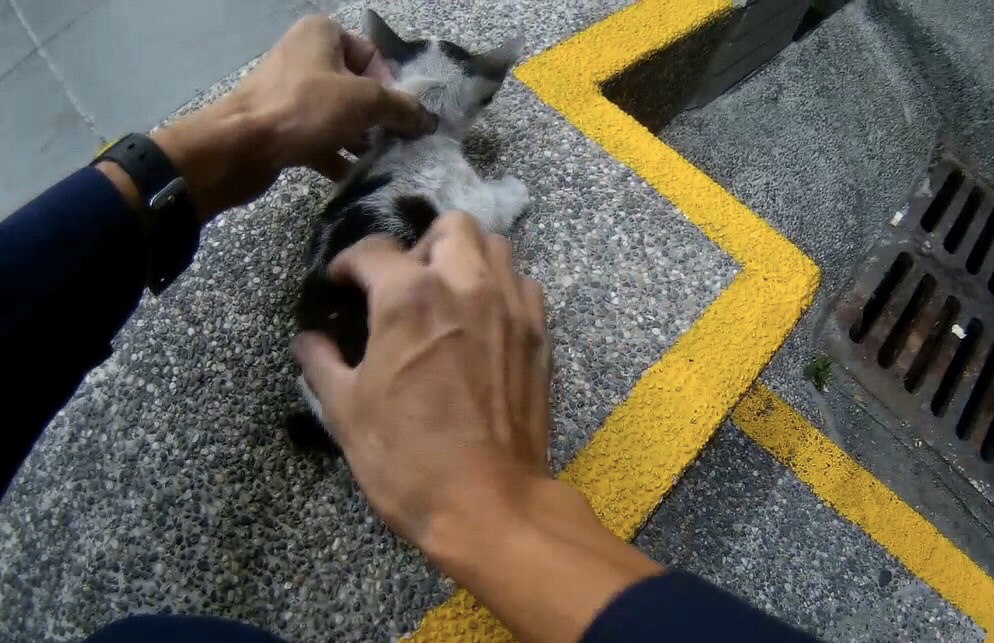 ▲圖說:一分局西區所員警胡家豪將受困於車輪胎上方空間的小貓咪救出 (圖/台中市政府提供)