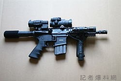 美國緬因州路易斯頓瘋狂槍手殘殺22人 兇槍疑是AR-15步槍 56 S 93503593 | 國際 國際 記者爆料網