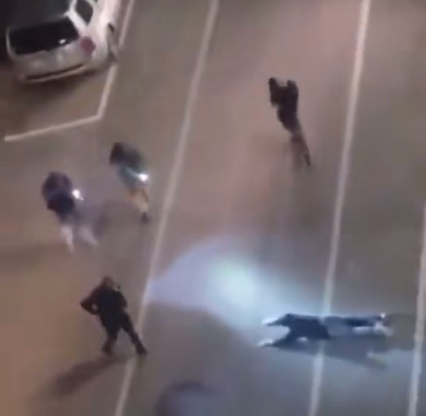 快訊/網傳美國緬因州路易斯頓瘋狂槍手被逮 消息還待警方證實 56 S 93503607 0 | 國際 國際 記者爆料網