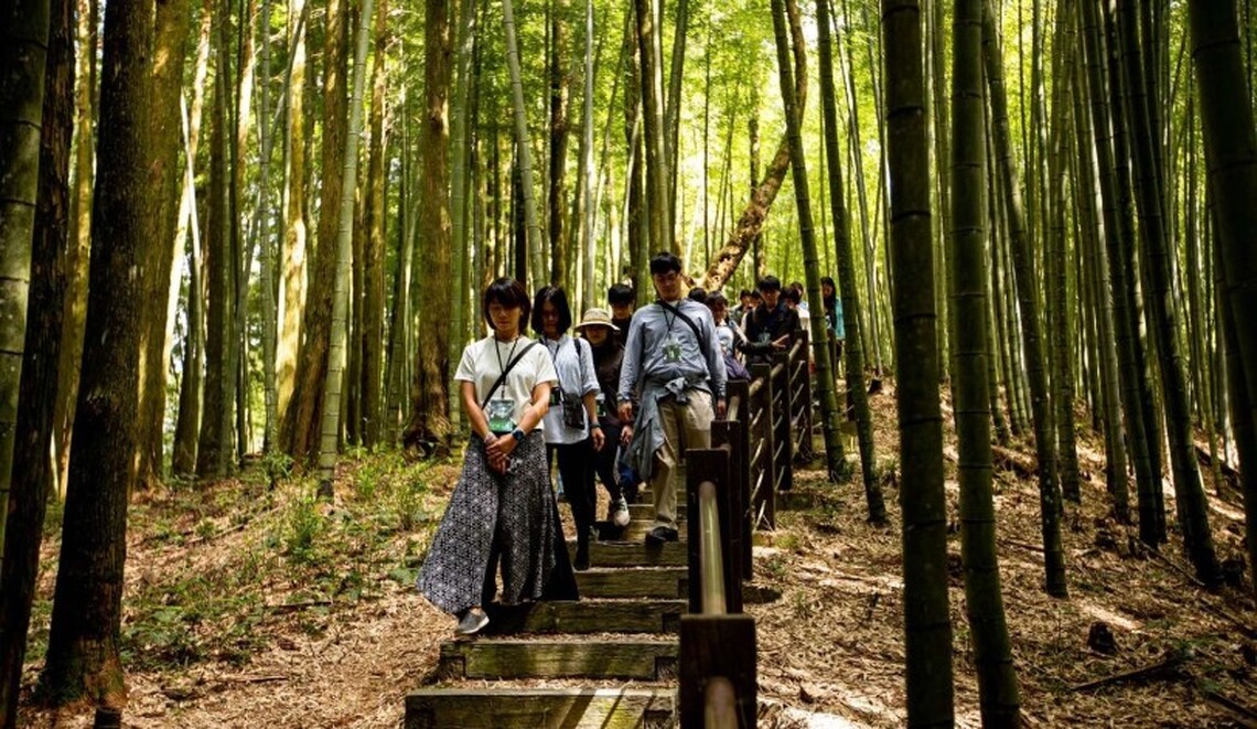 草嶺石壁森林療癒祭再創佳績!草嶺觀光遊憩人次攀升 預計年底可突破80萬人次