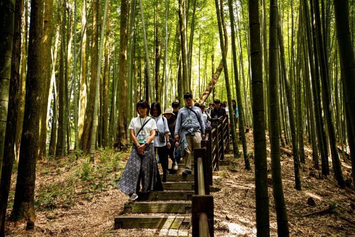 2023草嶺石壁森林療癒祭受矚目 草嶺觀光人次創新高 2023草嶺石壁森林療癒祭受矚目 草嶺觀光人次創新高