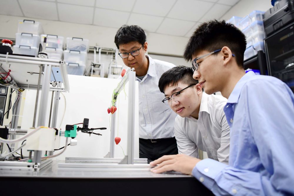 ▲生機系陳建興助理教授(左)帶領兩位同學研發「水耕草莓省工採摘機器人」(記者王雯玲翻攝)