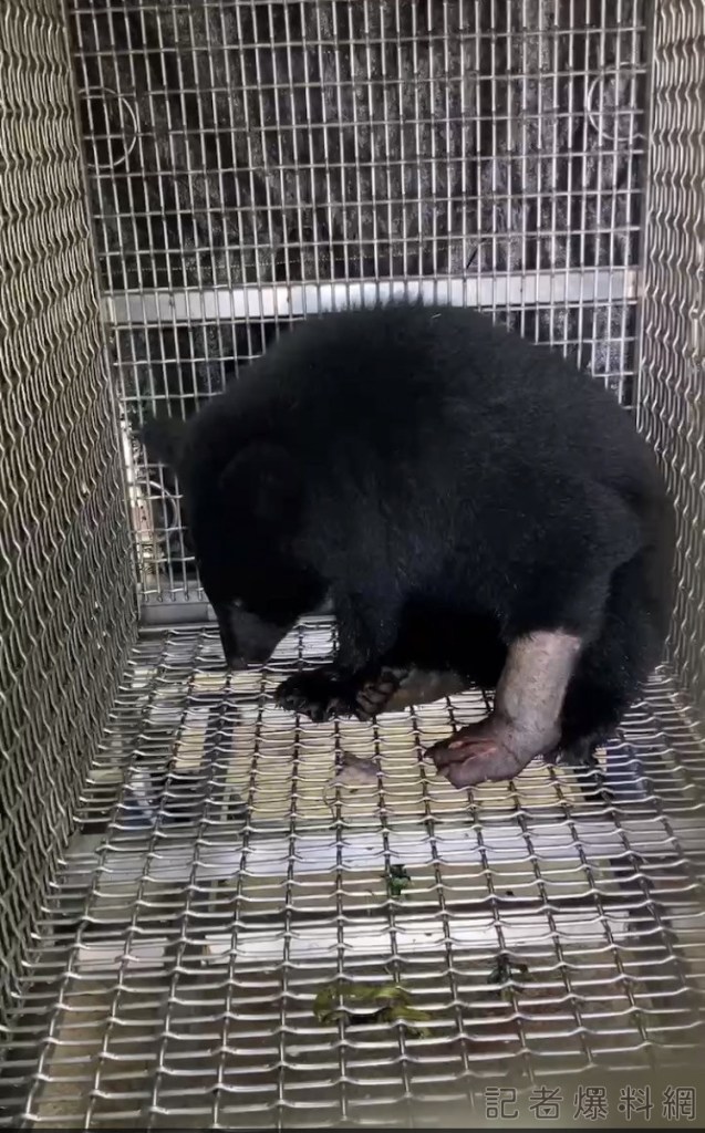 | 生活 生活 記者爆料網