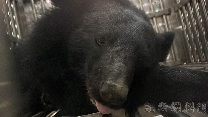 | 生活 生活 記者爆料網