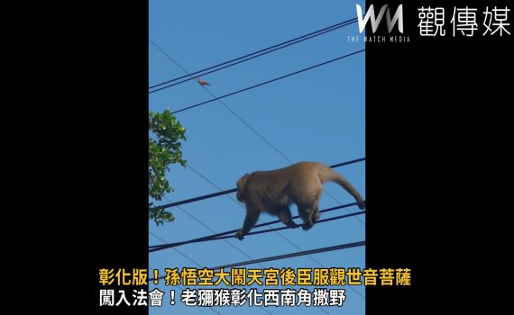 影/彰化版!孫悟空大鬧天宮後臣服觀世音菩薩