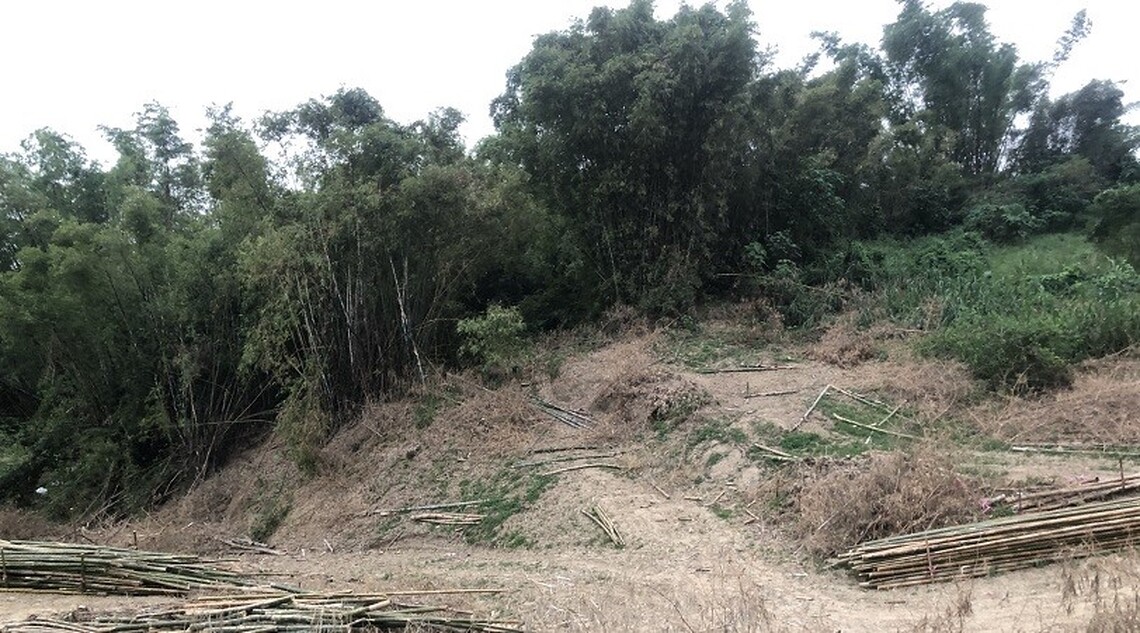 龜洞地名饒富文史 盛產竹子