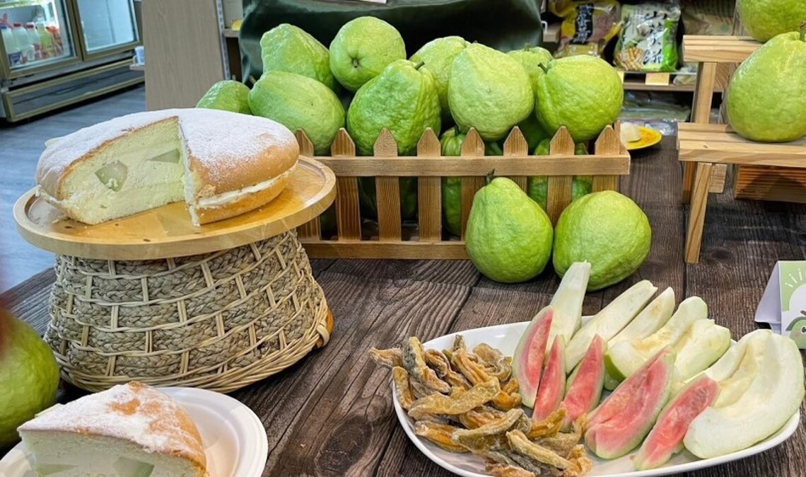 台南山上芭樂節熱鬧登場