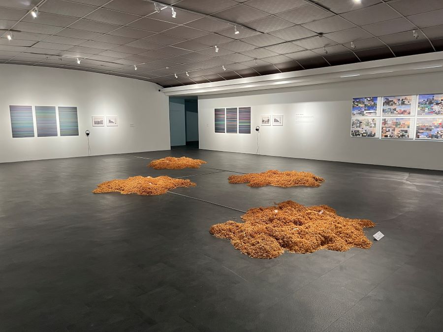 ▲新媒體藝術家吳修銘個展《像鳥一樣聆聽》展場一隅(記者王雯玲翻攝)