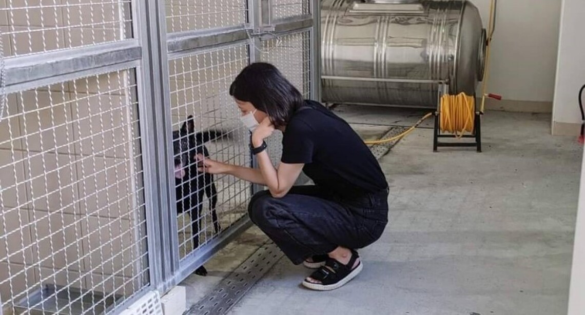 花蓮縣狗貓躍動園區11/1起調整開園時間 認養時段更彈性
